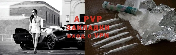 spice Алзамай