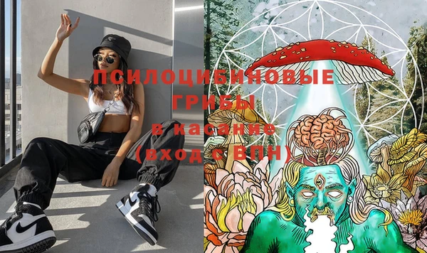 альфа пвп Алексеевка
