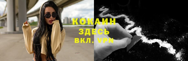 spice Алзамай