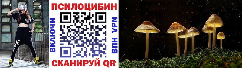 Псилоцибиновые грибы GOLDEN TEACHER Ржев